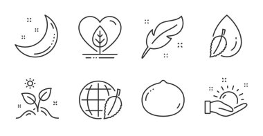 Tüy, yerel yetişmiş ve güneşli hava çizgisi simgeleri hazır. Macadamia cevizi, su damlası ve çevreci gündüz işaretleri. Bitki yetiştirmek, ay yıldızlarının sembolleri. Nib kalem, organik test, Hold Sun. Doğa hazır. Vektör