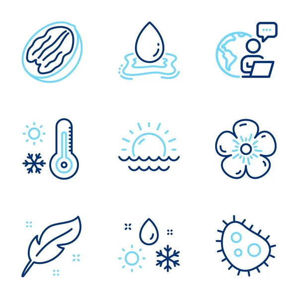 Природничі Ікони Включено Ікону Бактерію Перо Погодні Термометри Пеканський Горіх — стоковий вектор