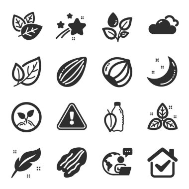 Startup, Pecan nut, Leaf sembolleri gibi doğa simgeleri. Organik testler, ay yıldızları, tüy işaretleri. Adil ticaret, badem fıstığı, bulutlu hava. Su şişesi, fındık, bitki sulama. Vektör