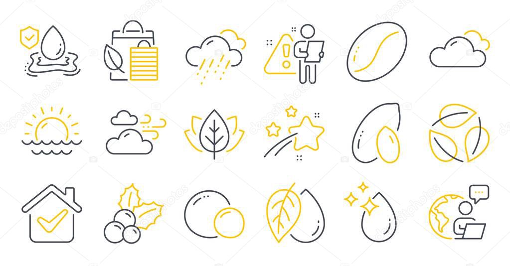 Set of Nature icons, such as Christmas holly, Leaves, Windy weather symbols. Flood insurance, Water drop, Coffee beans signs. Organic tested, Cloudy weather, Peas. Bio shopping, Peanut. Vector