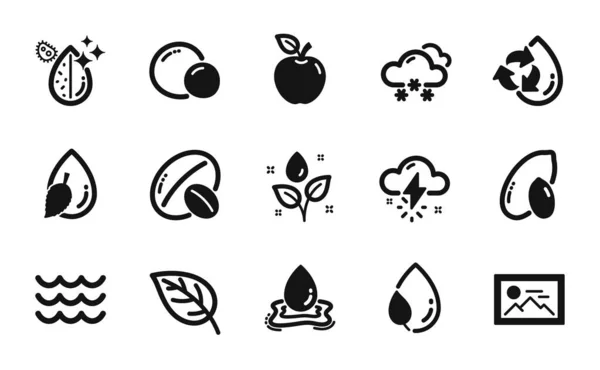 Vector Set Van Photo Apple Soja Nut Pictogrammen Eenvoudige Set — Stockvector