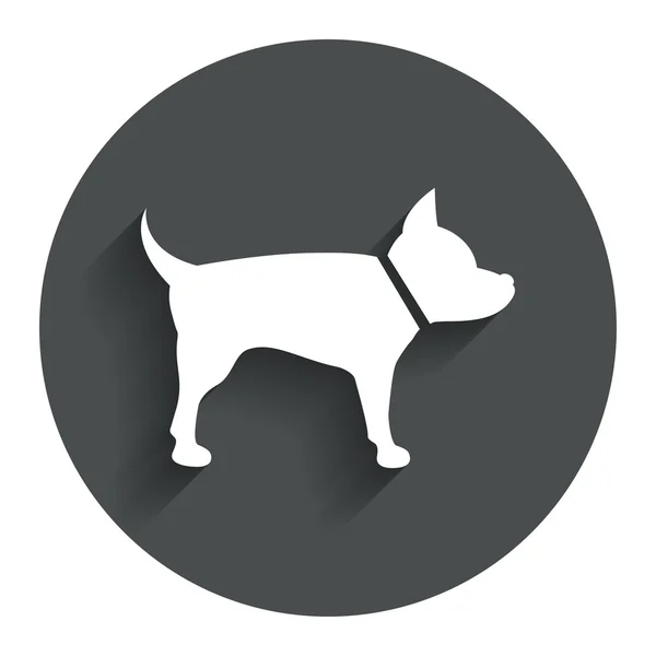 Dog sign icon. Pets symbol. — Stock Vector