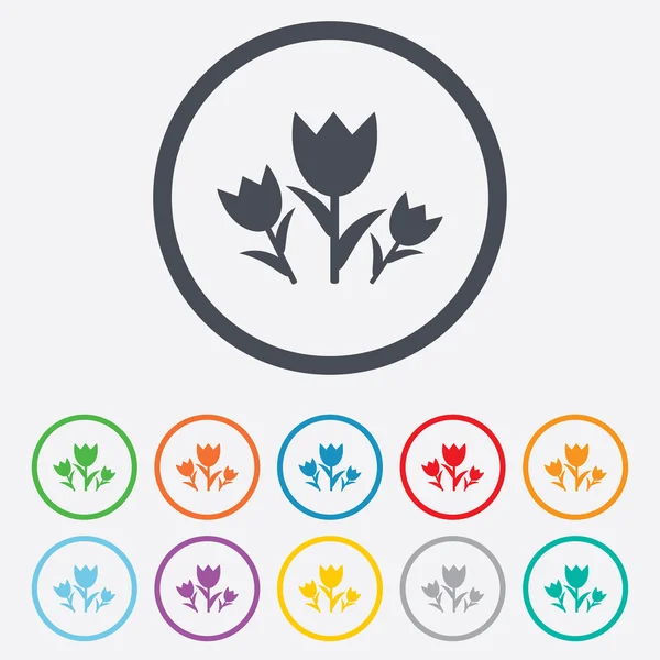 Bloemen ondertekenen pictogram. rozen symbool. — Stockvector