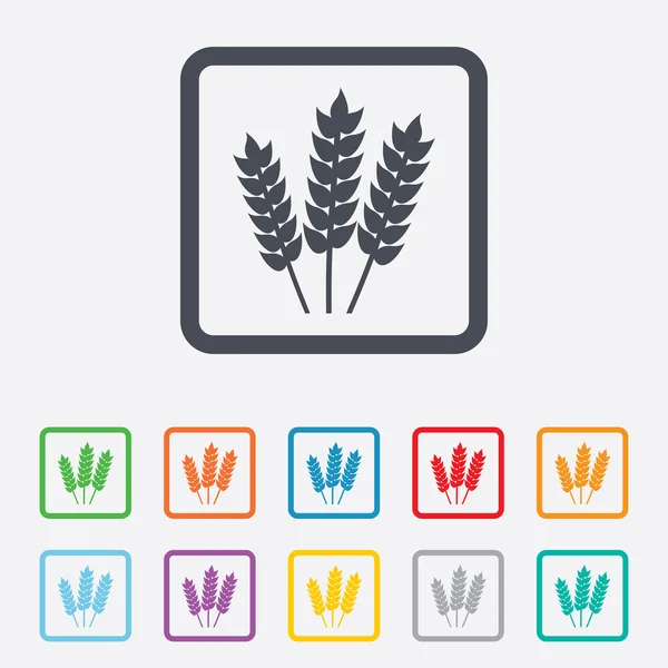 农业标志图标。无麸质或无麸质 — 图库矢量图片