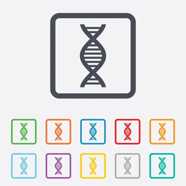 DNA sign icon. Deoxyribonucleic acid symbol. — Stock Vector