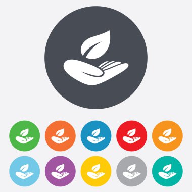 Doğa sigorta işareti. Yaprak sembol el tutar