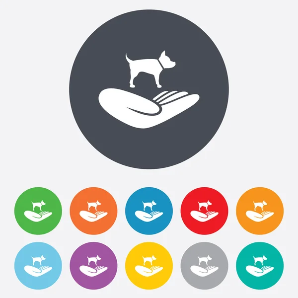 Shelter pets sign icon. Hand holds dog symbol. — Stock Vector