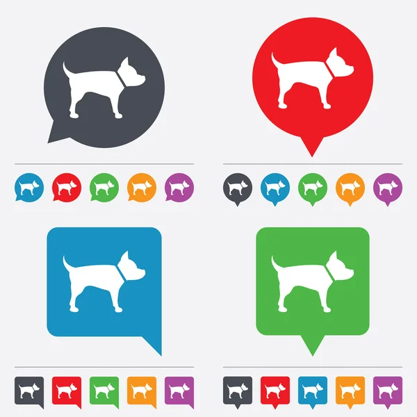 Dog sign icon. Pets symbol. — Stock Vector