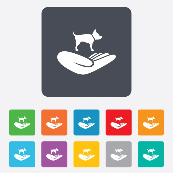 Onderdak huisdieren ondertekenen pictogram. Hand houdt hond symbool. — Stockvector