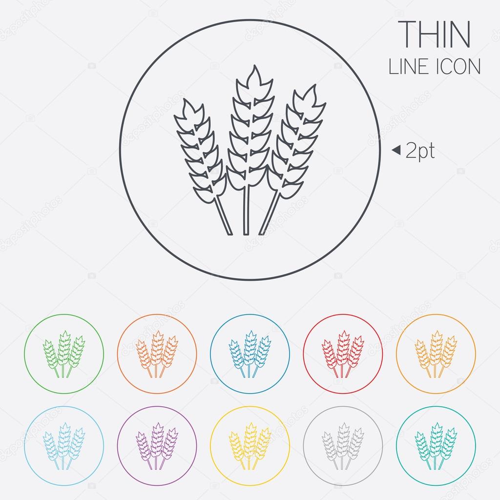 Agricultural sign icon. Gluten free or No gluten