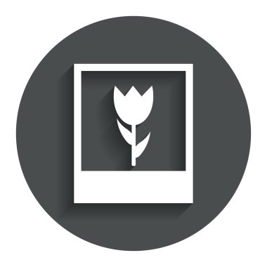 Makro fotoğraf çerçevesi simgesi.