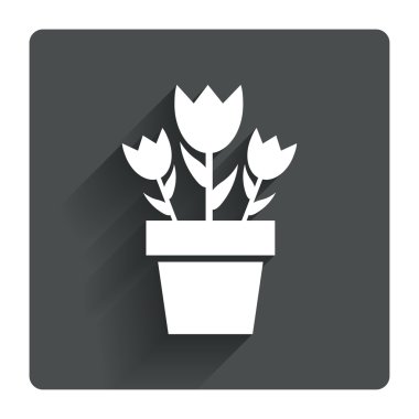 Çiçekler pot simgesi.