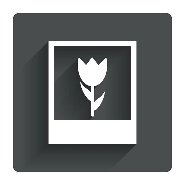 Macro foto frame-pictogram. — Stockvector