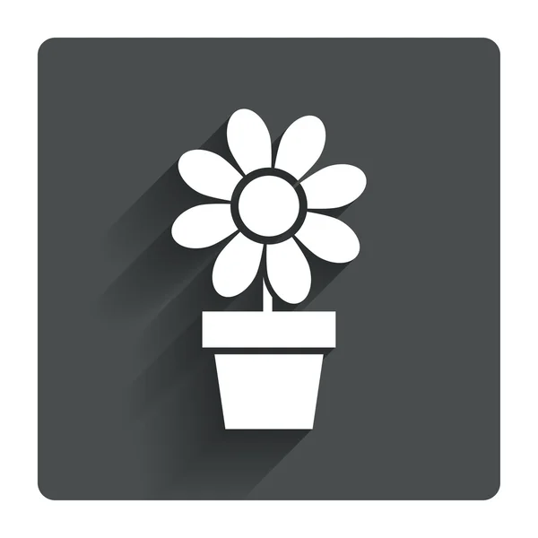 Bloemen in pot pictogram. — Stockvector