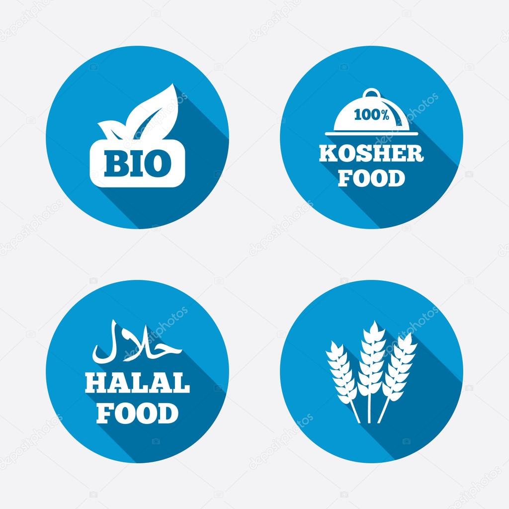 Natural Bio food icons.