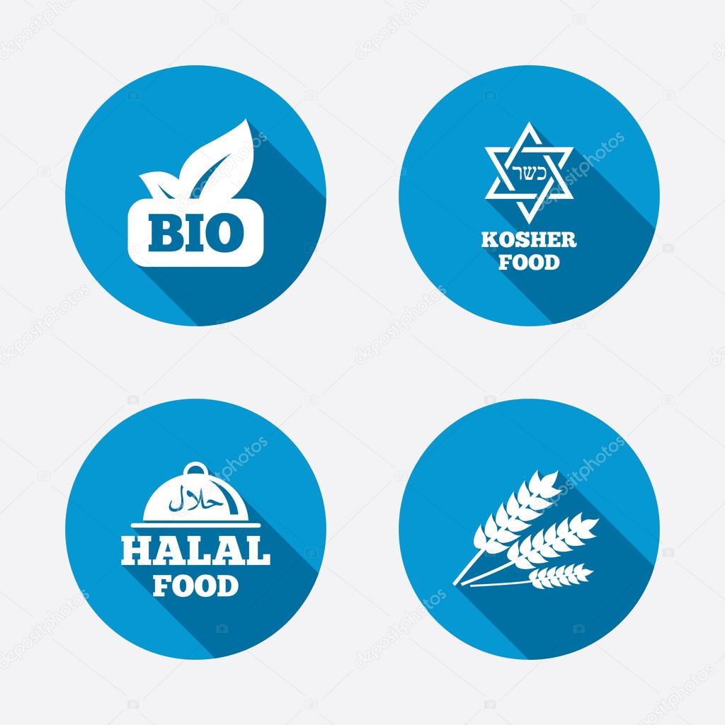 Natural Bio food icons. Halal and Kosher signs. Gluten free and star of David symbols. Circle concept web buttons. Vector