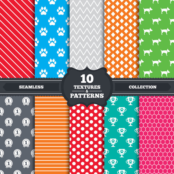 Кошачья лапа с вывесками
