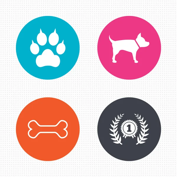 Pets icons. Cat paw — Stock Vector