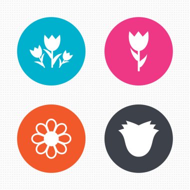 Flowers icons. Bouquet