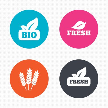 Doğal taze biyo gıda simgeler.