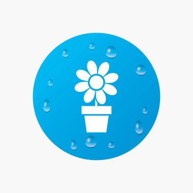 çiçekler pot işareti simgesi.