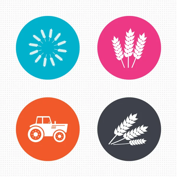 Agricultural icons. Wheat corn — Stock Vector