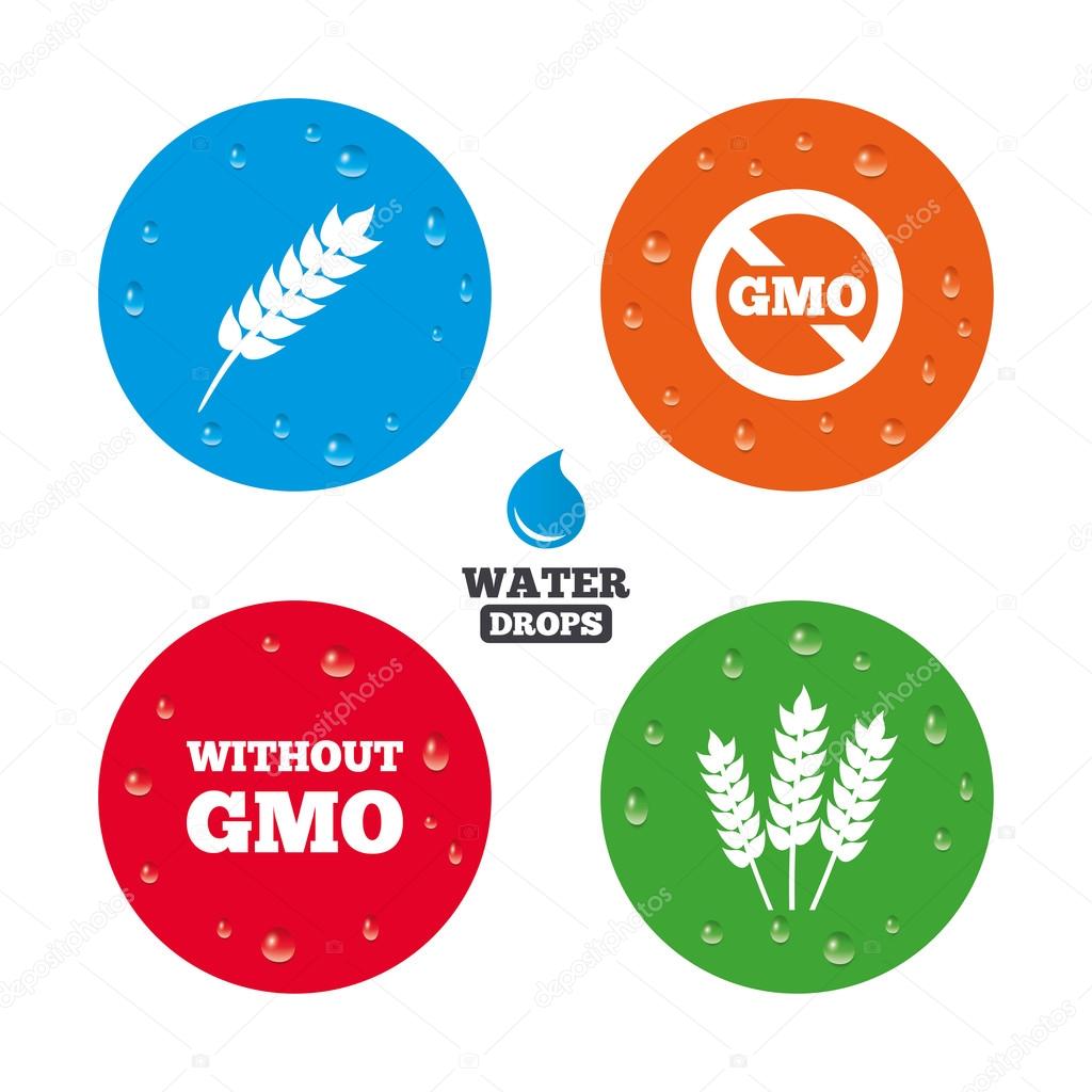 Agricultural icons. GMO free symbols.