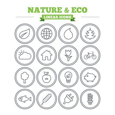 Nature and Eco icons set.