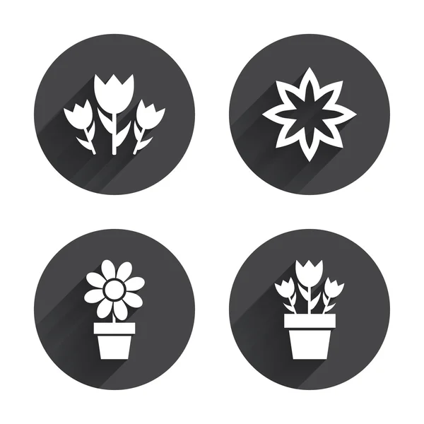 Bloemen pictogrammen. boeket rozen symbool. — Stockvector