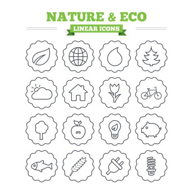 Nature and Eco icons set.