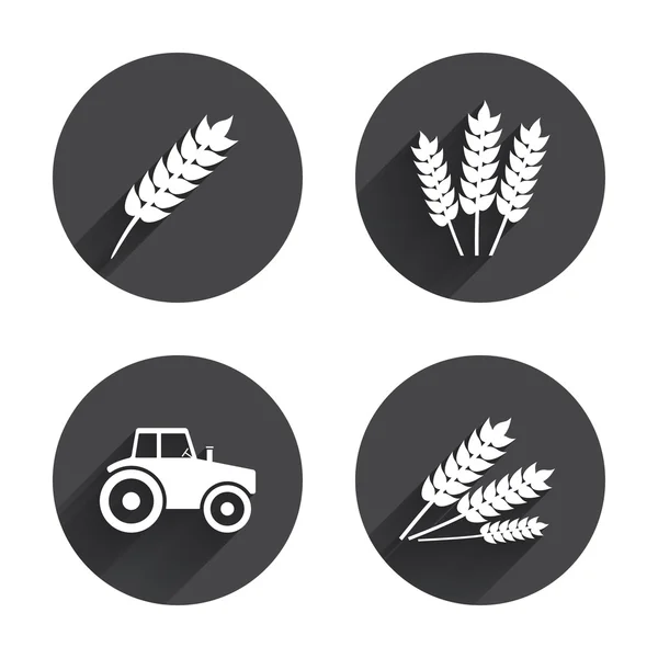 Iconos agrícolas, sin gluten, de trigo — Vector de stock