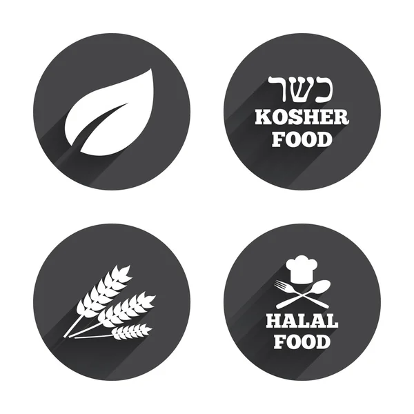 Alimentos naturales, Halal y Kosher iconos . — Vector de stock