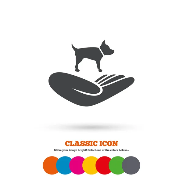 Shelter for pets, animals icon — Stok Vektör