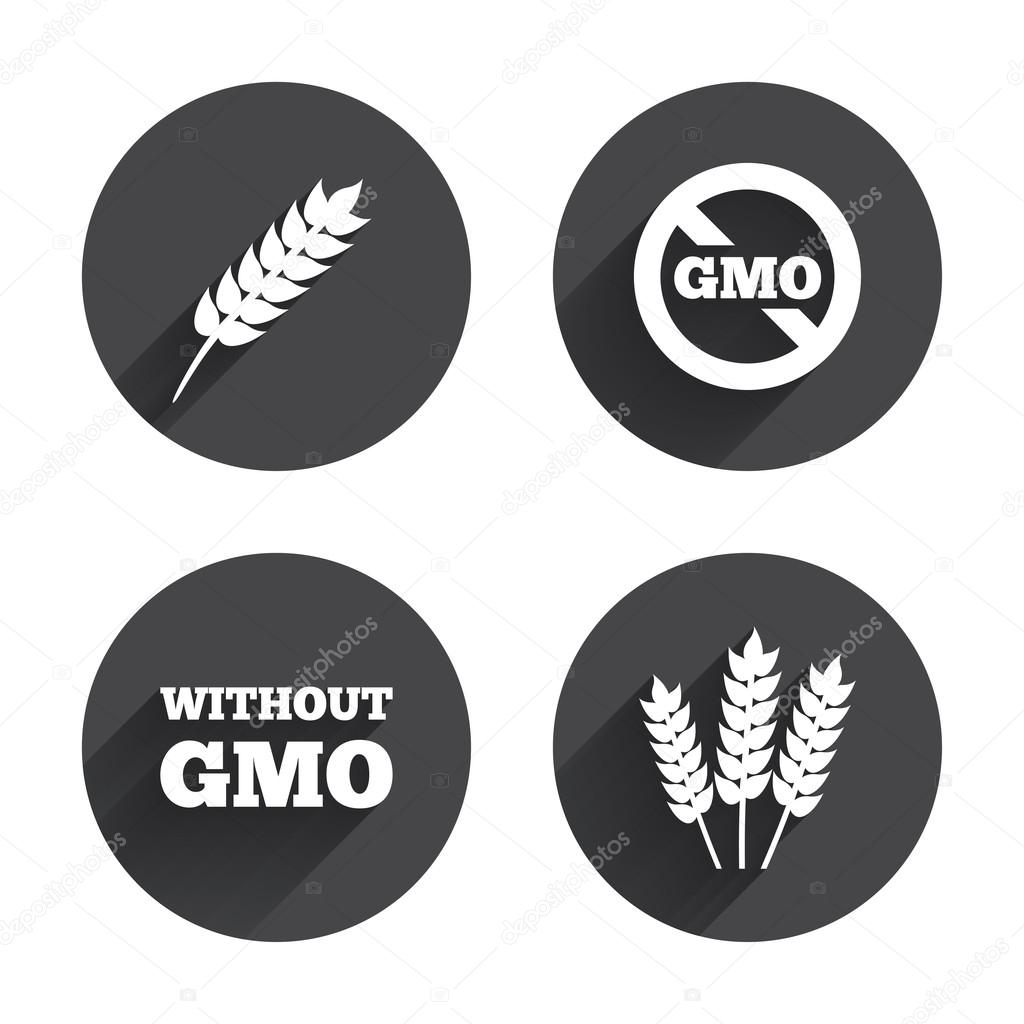 Agricultural icons. GMO free symbols.