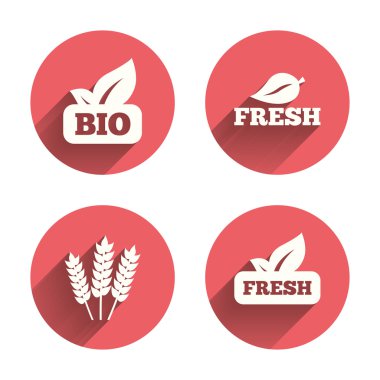 Doğal taze biyo gıda simgeler.