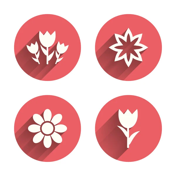 Flowers icons. Bouquet of roses symbols — Stock Vector