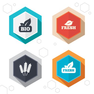 Doğal taze biyo gıda simgeler.