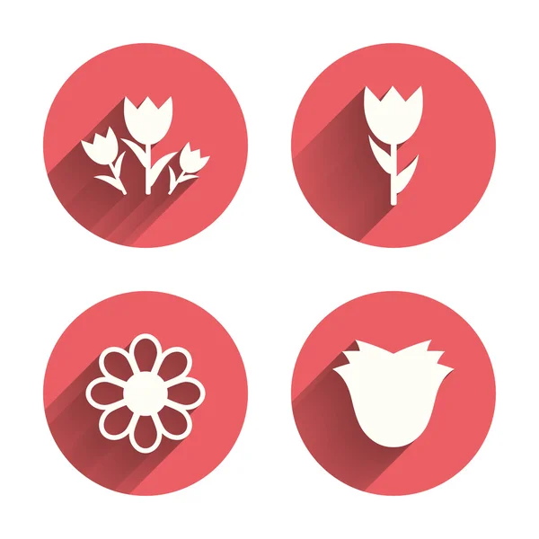 Bloemen pictogrammen. boeket rozen symbool. — Stockvector