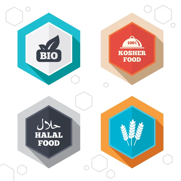 Iconos naturales de Bio alimentos . — Vector de stock