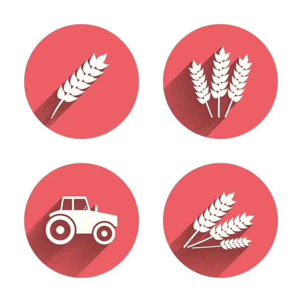 Agricultural icons. Wheat corn — Stock Vector