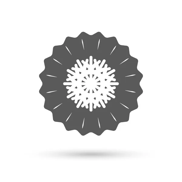 Snowflake artistic sign — Stock Vector