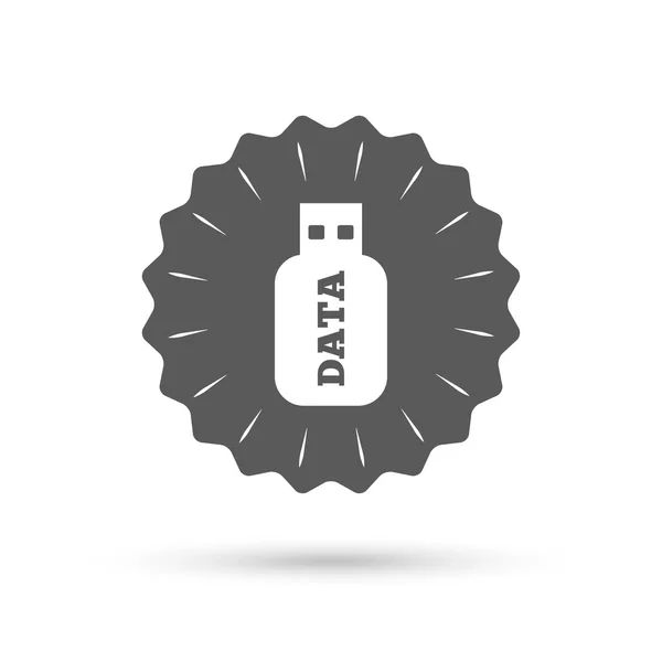Icône de signe de clé USB . — Image vectorielle