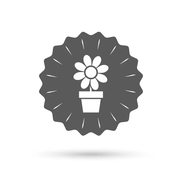 Bloemen in pot teken pictogram. — Stockvector