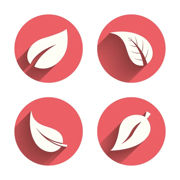 Leaf icon. Fresh natural — Διανυσματικό Αρχείο