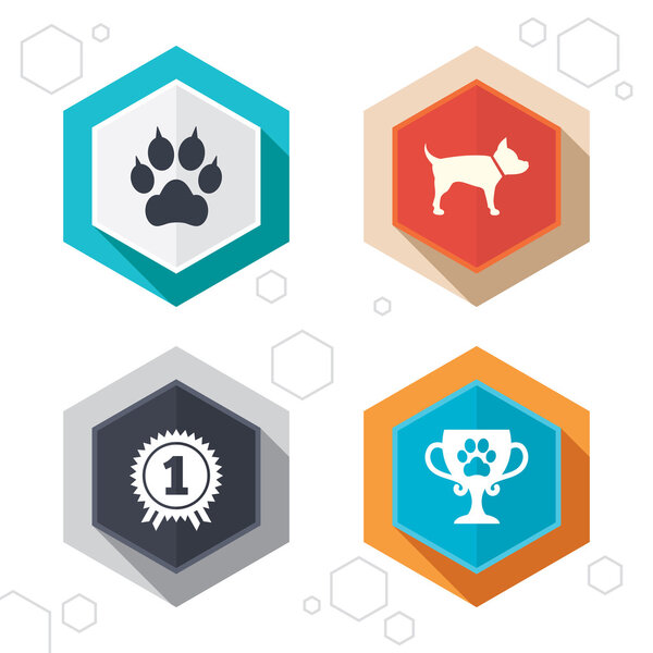 Питомцы иконы. Кошачья лапа
