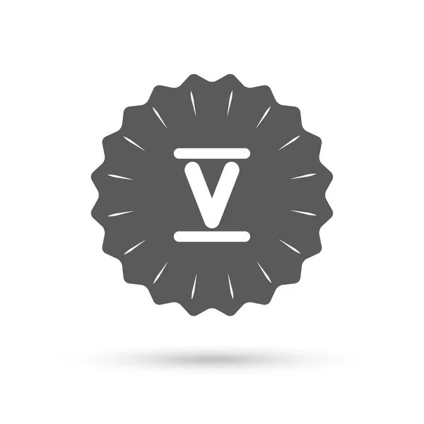 Roman numeral five icon. — Stock Vector