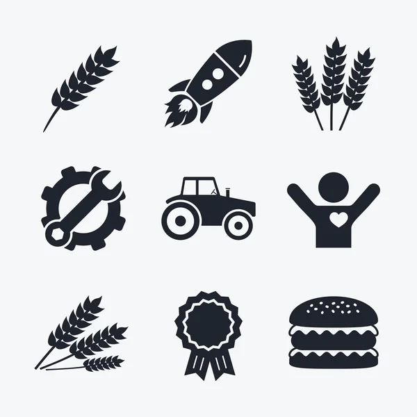 农业的图标。小麦玉米 — 图库矢量图片