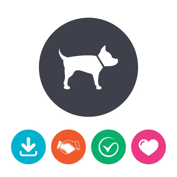 Icono de signo de perro. Mascotas símbolo . — Vector de stock