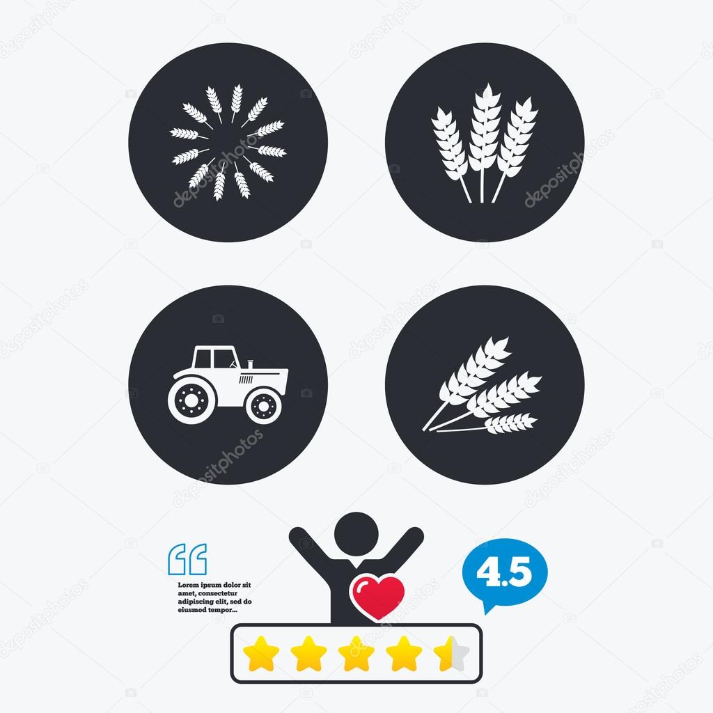 Agricultural icons. Wheat corn