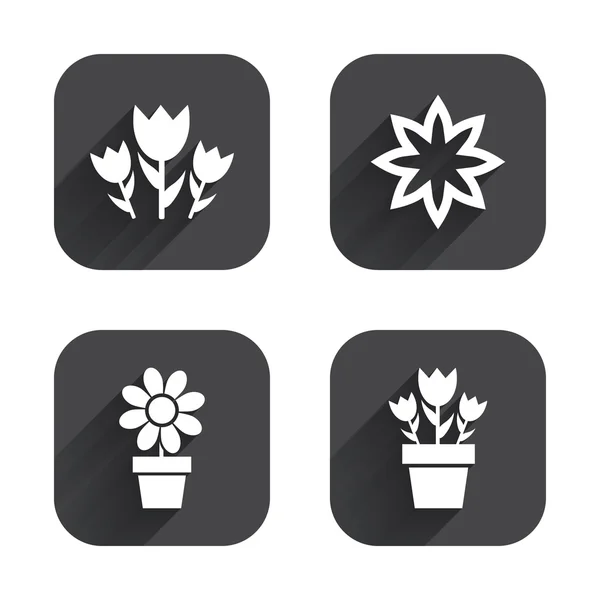 Bloemen pictogrammen. boeket rozen symbool. — Stockvector